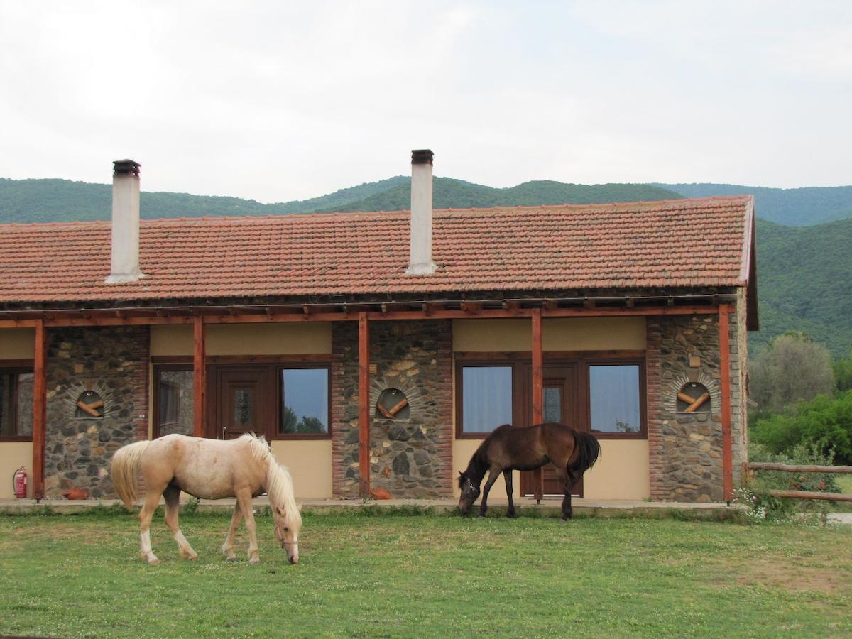 Ihnilatis Bed and Breakfast Kerkini Exteriör bild